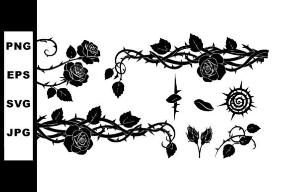 Black Rose Thorny Vine Vector Illustration Guide