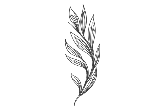 Bringing Nature to Your Designs with Hand-Drawn Leaf Branch Doodles