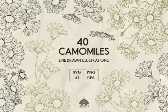 Unlocking Creative Potential with Camomile Line Art SVG and PNG Files