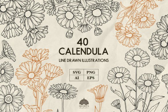 Unlocking Creative Potential with Premium Calendula Flower Line Art SVG and PNG Assets